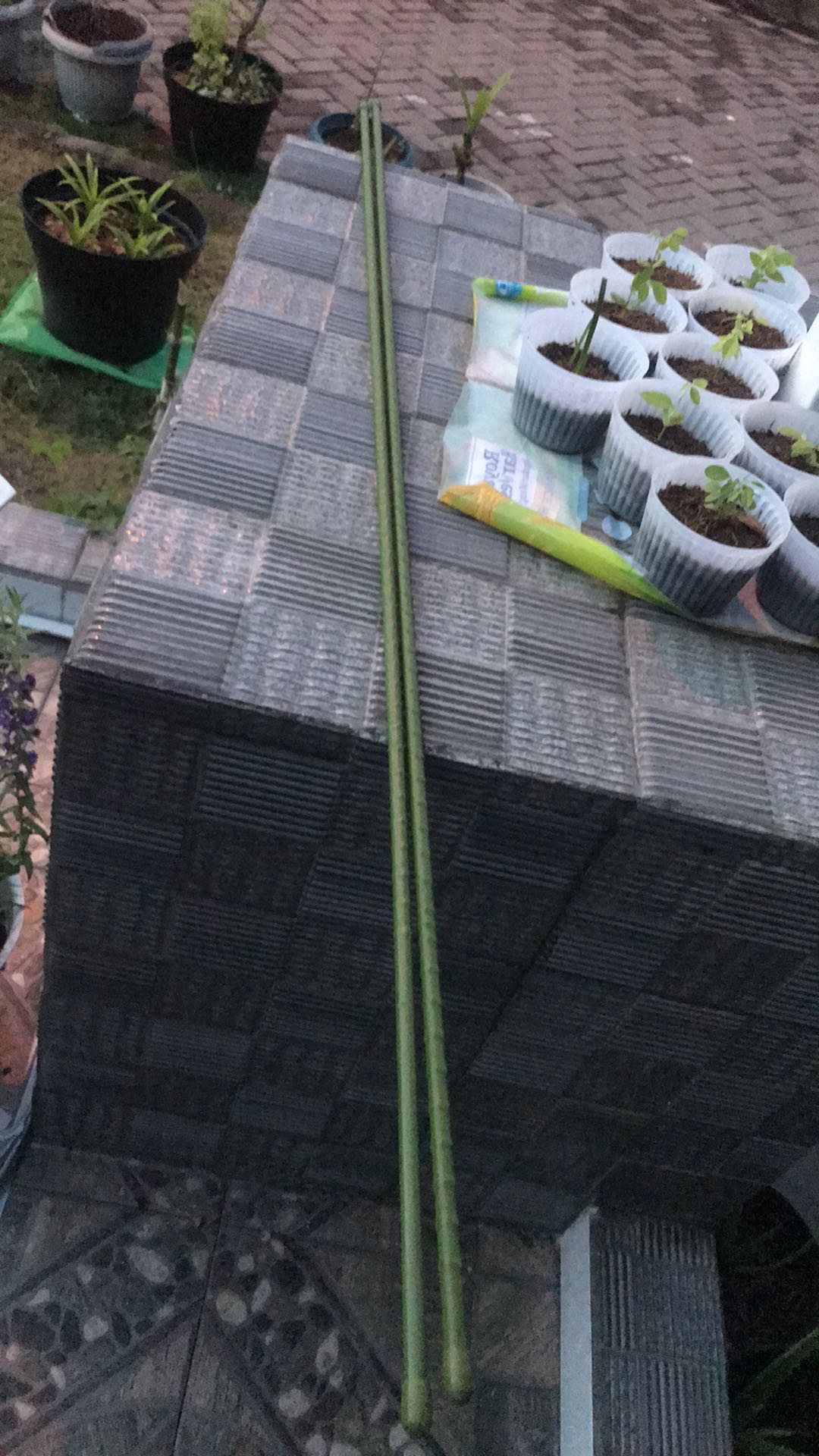 Ajir Tanaman Merambat Model Lurus 150 Cm