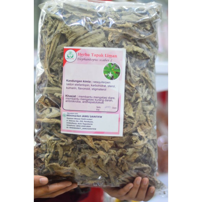 

Tapak Liman Kering Premium