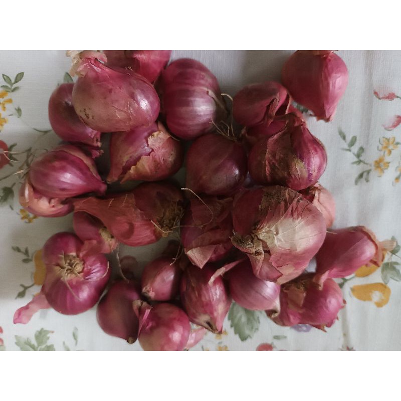 

Bawangmerah
