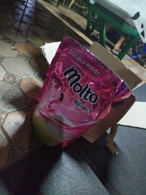 Molto All-in-1 1x Bilas 1600 Ml