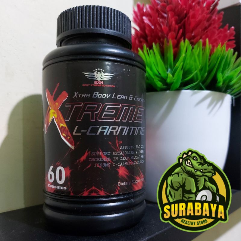 BXN LCARNITINE 60 KAPSUL SUPLEMEN FITNESS DIET CUTTING PEMBAKAR LEMAK ON GYM FAT BURNER L CARNITINE