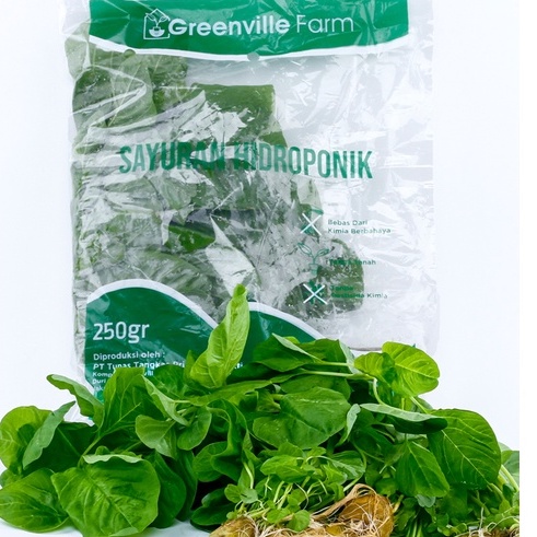 

Greenville Farm Paket 4 Pack Bayam Hijau
