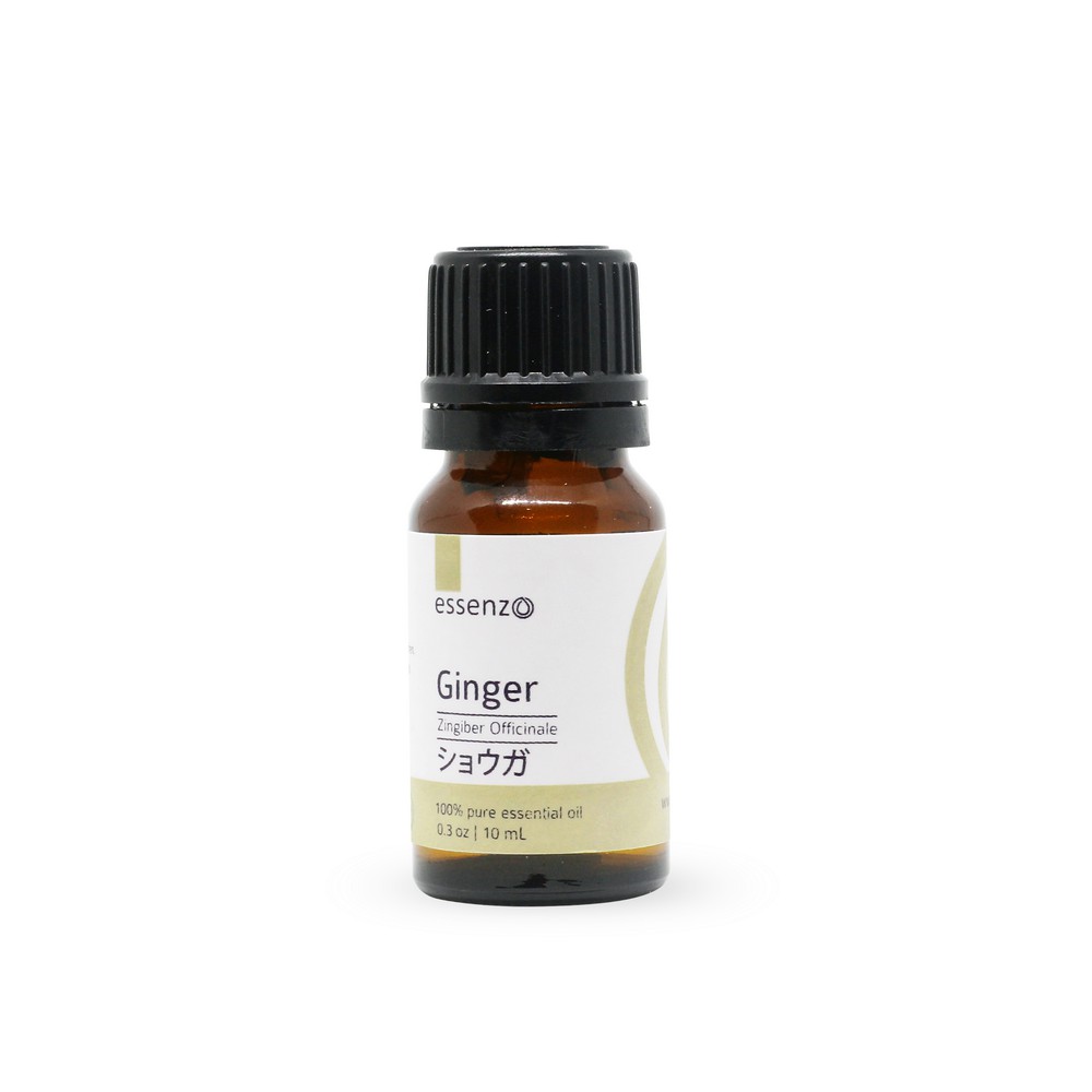 GINGER ESSENTIAL OIL/ESSENZO ESSENTIAL OIL/MINYAK ESENSIAL AKAR JAHE/OBAT ASMA