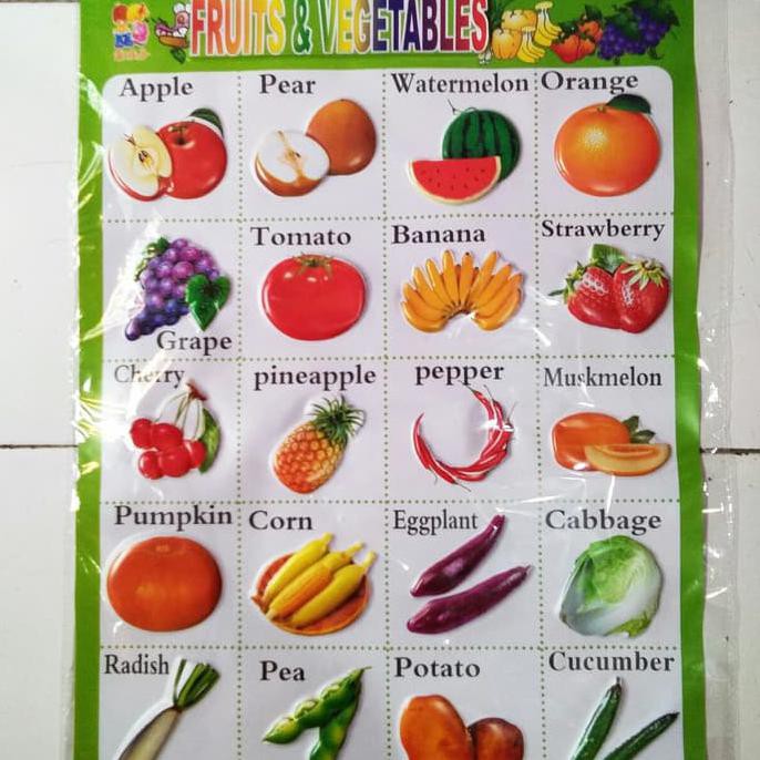 

14.84Ftgrdujh- Poster Hewan Binatang Animal Timbul -Toko-Boneka.