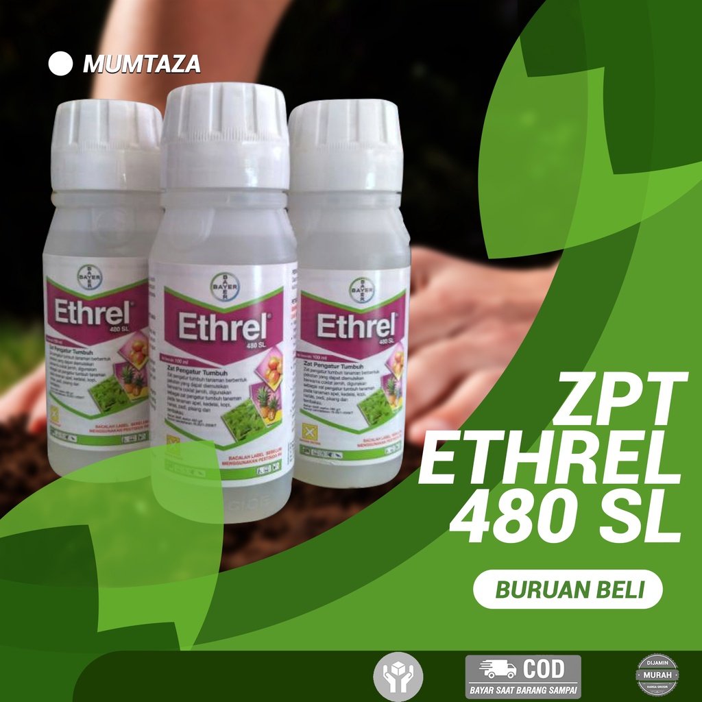 Jual ZPT ETHREL 480 SL 100 ML Mempercepat Pemasak Dan Menguatkan ...