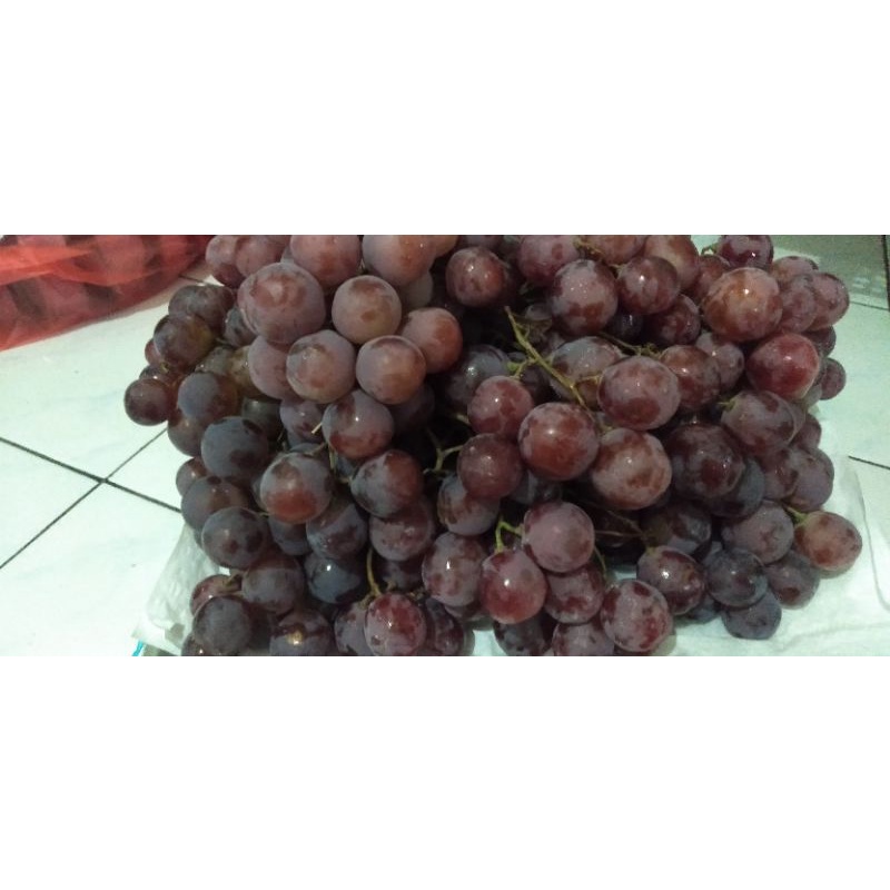 

anggurmerah