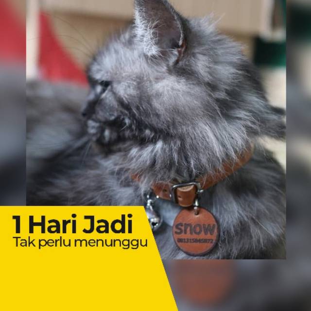 LOOD KALUNG KUCING MPUSS PAKAI LONCENG KRINCING - GRATIS UKIRAN NAMA