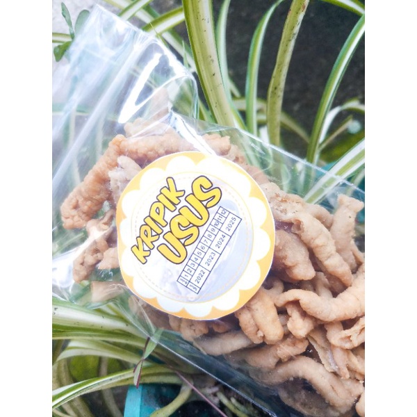 

Kripik usus