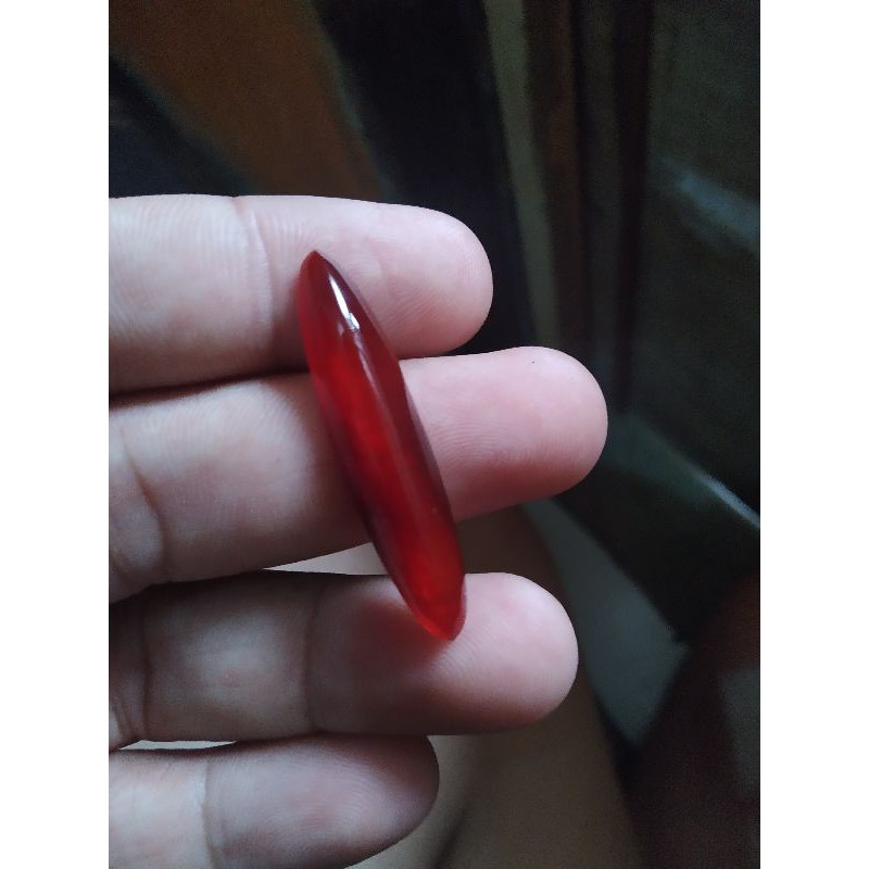 Pandan merah jamlang rudal