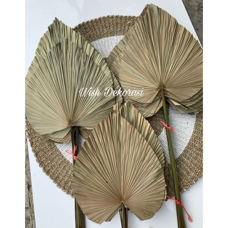 DAUN PALEM KERING BESAR PAKET ISI 10/ BUNGA KERING UNTUK DEKORASI