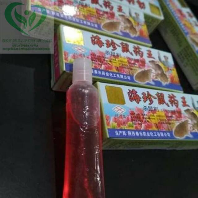 obat tikus cair cocok digunakan dirumah maupun sawah