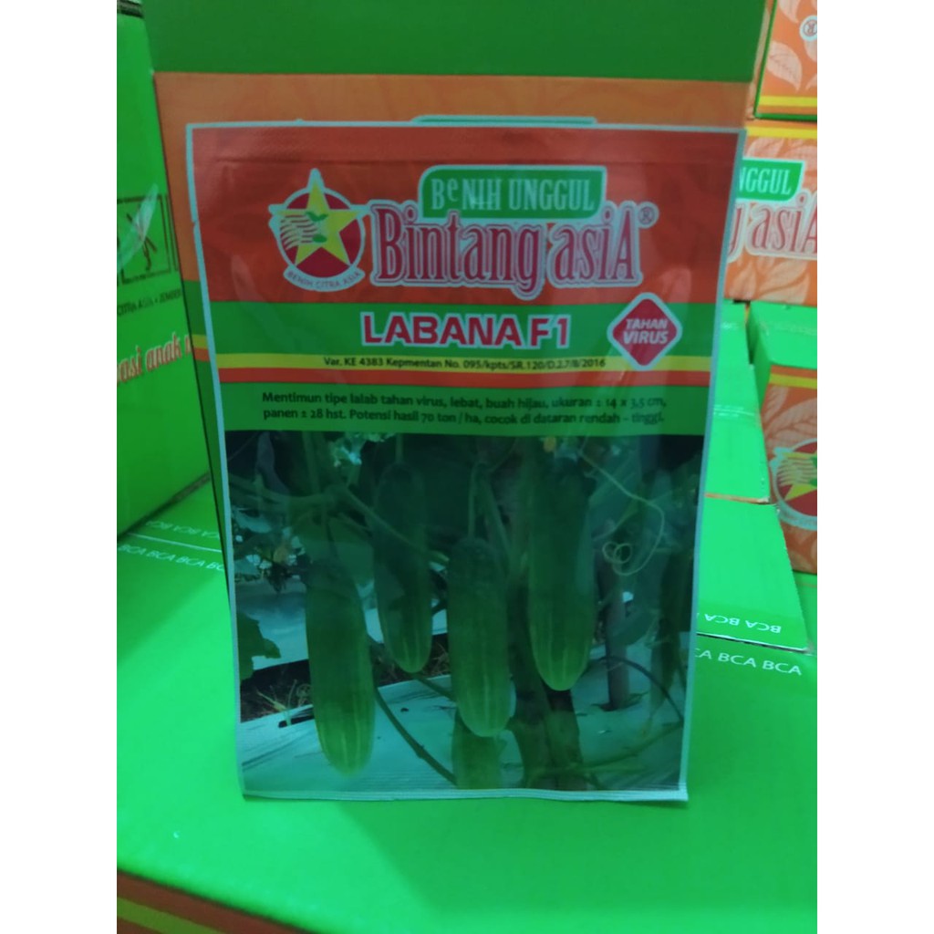 Labana (Benih Timun)20gr Bintang Asia