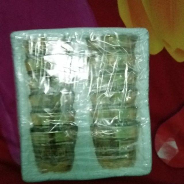 Gelas Kaca Air Zam-zam Per Lusin