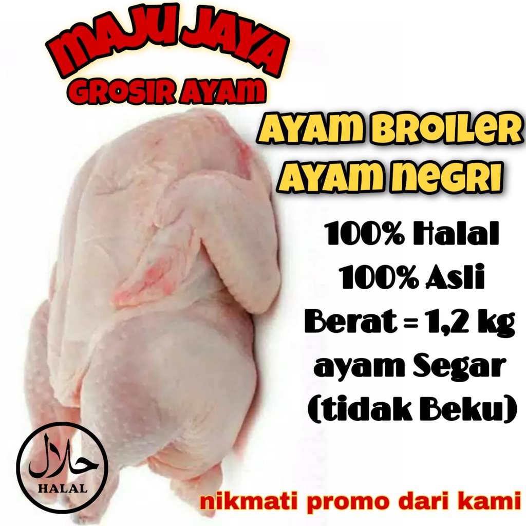 AYAM UK. 1.25 - 1.3 kg /AYAM UTUH /AYAM 1EKOR / AYAM SEGAR /FRESH /AYAM MURAH / BERKUALITAS /AYAM BERSIH