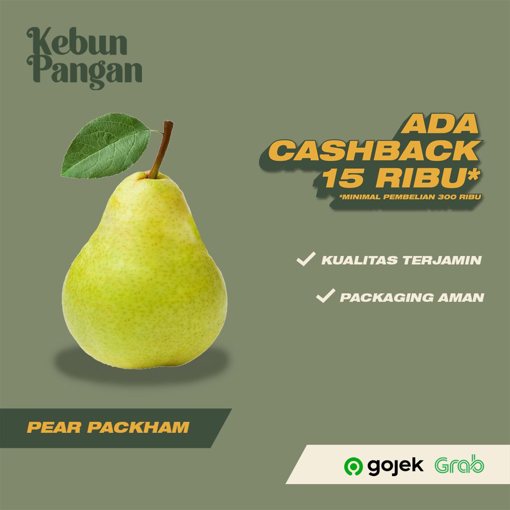 Jual Buah Pear Packham Fresh 500 Gr Shopee Indonesia 