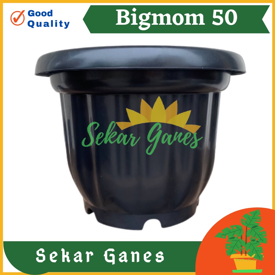 ONLY SAMEDAY AND INSTAN Pot BIGMOM 50 Hitam - Pot Besar Jumbo 50cm Pot Besar Plastik Bahan Tebal - Pot Besar Jumbo 100cm 50cm 40cm Putih Tinggi Hitam