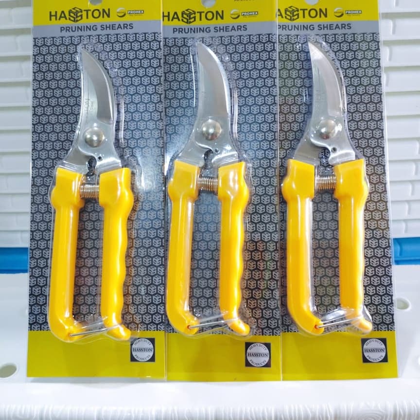 GUNTING DAHAN HASSTON PROHEX