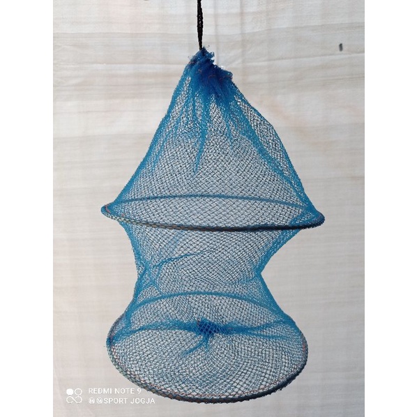 KORANG |TEMPAT IKAN KECIL MURAH