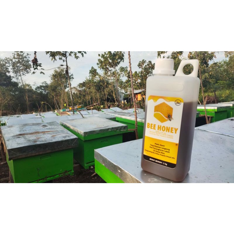 

Madu Akasia - Honey Bee - Madu Sumatera