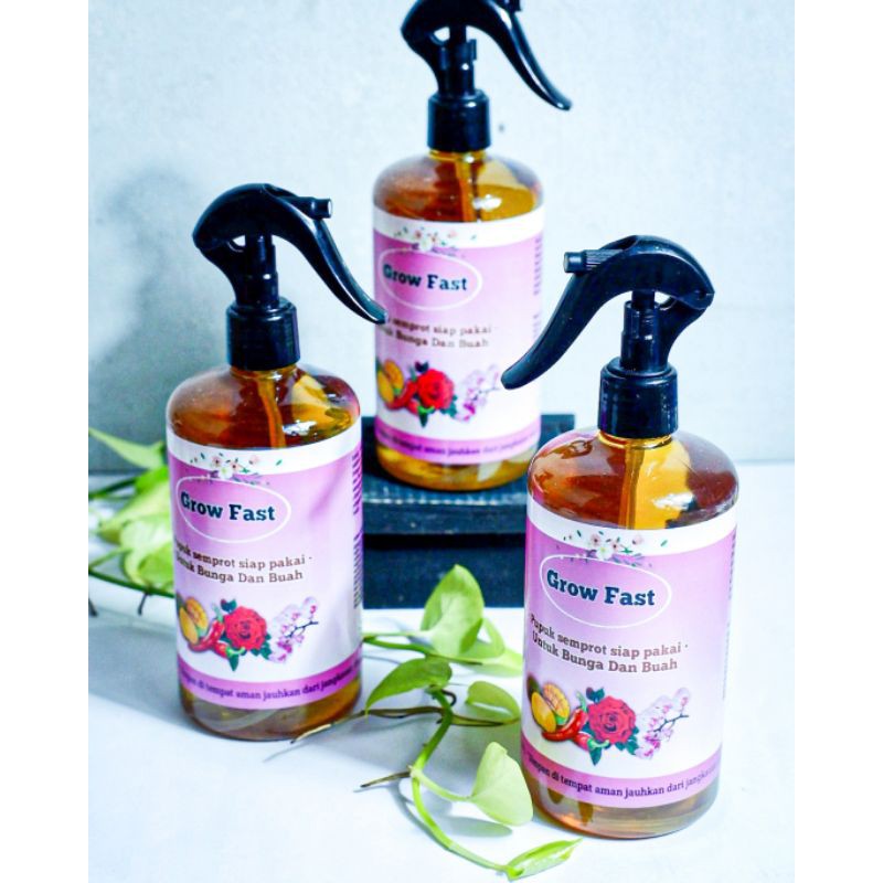 GROW FAST PUPUK BUNGA DAN BUAH - PUPUK BUNGA AGLONEMA - PUPUK TANAMAN - PUPUK BUNGA - PUPUK BUAH