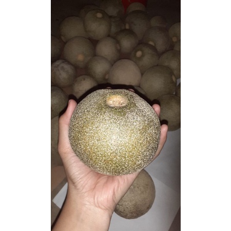 

BUAH KAWISTA 1KG
