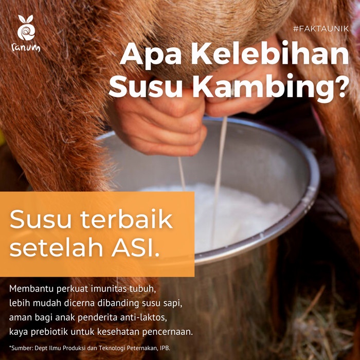 

fe20111 Fresh Goat Milk - Susu Kambing Segar Xa201As