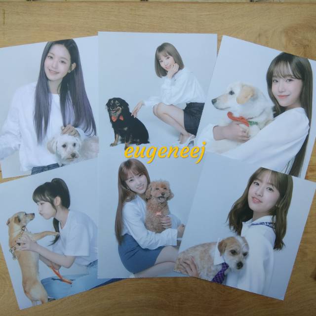 IZONE X Gmarket Campaign "Shop For Dog" IZ*ONE Edition