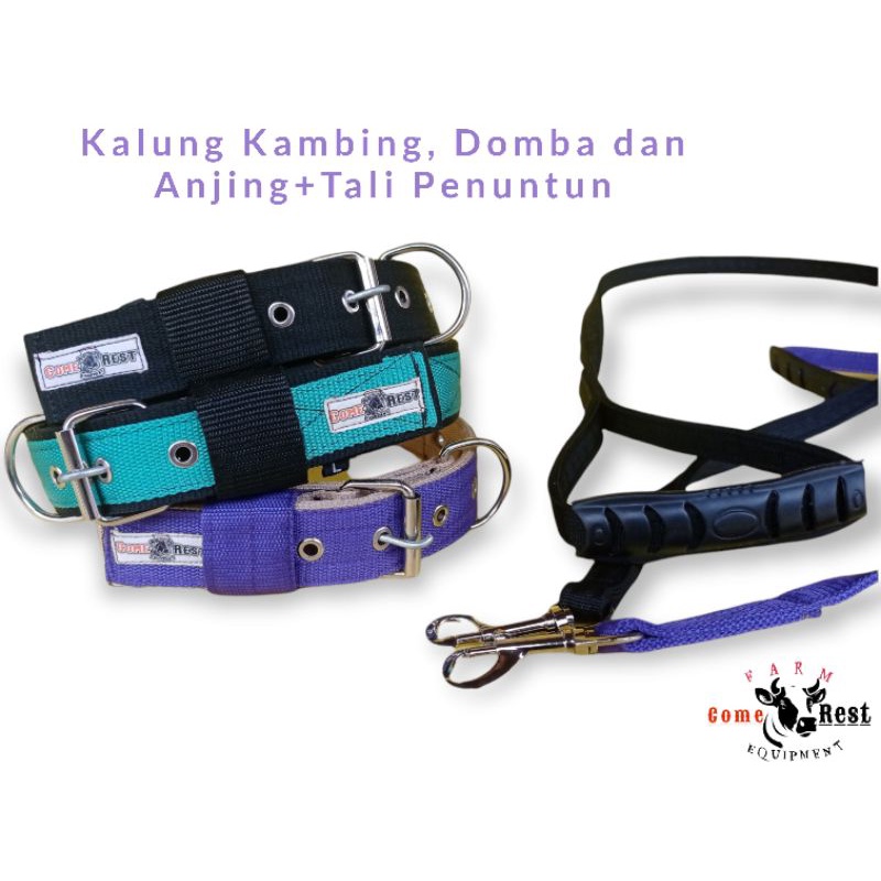 Kalung Kambing lengkap dengan Tali.