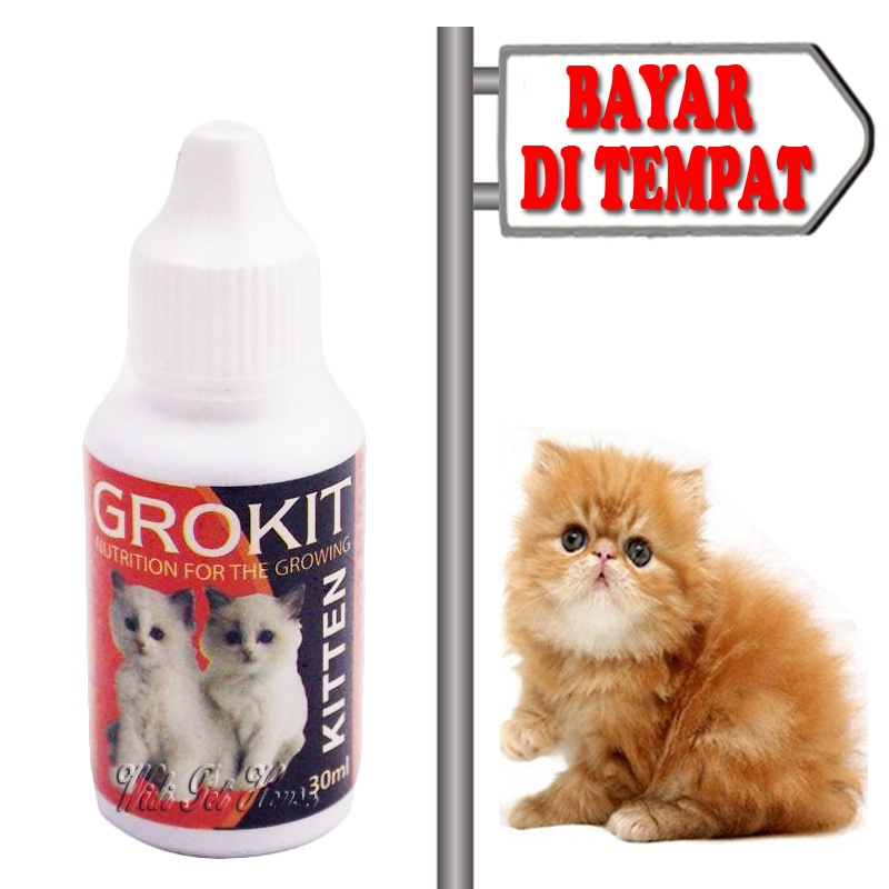 Vitamin Pertumbuhan Anak Kucing Obat Nafsu Makan Penggemuk Grokit