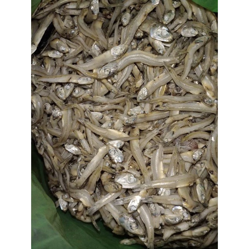 

Teri Kacang ciri khas Sibolga - 1 kilo gram