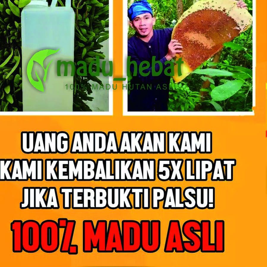 

[KODE BARANG 23] Madu Murni Asli Hutan Odeng Baduy 5KG Madu Manis Murni 100% Raw Honey Asli TANPA CA