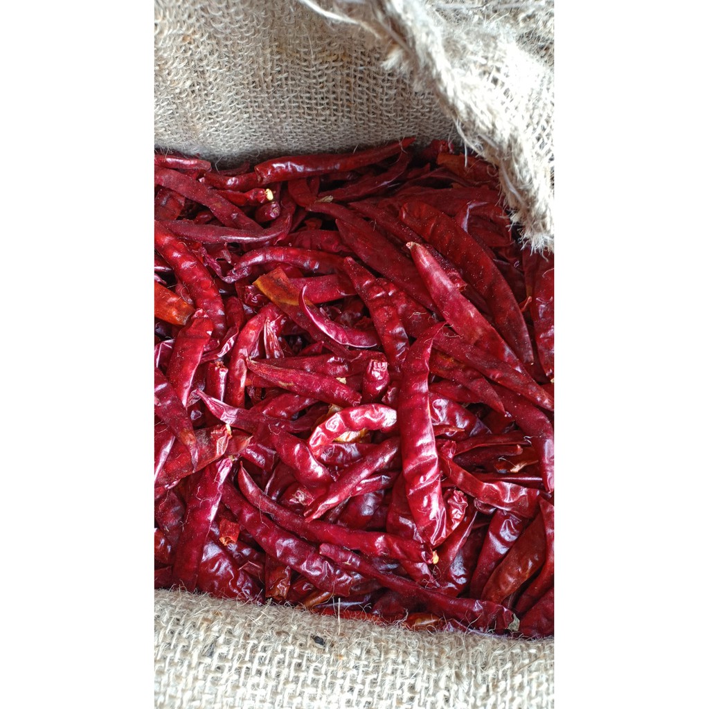 Cabe Kering Cabe India Cabe Iblis Dry chili 100g