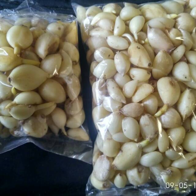 

Bawang putih kupas