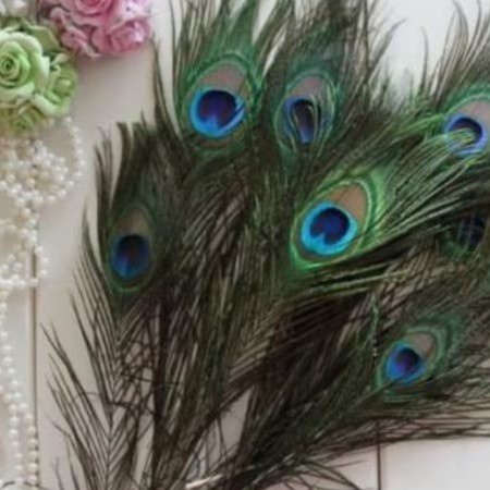 Triple W Dummy Fake Peacock Feather Bulu Burung Merak Dekorasi Foto