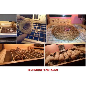 Jual Mesin Penetas Telur Itik Otomatis Diskon