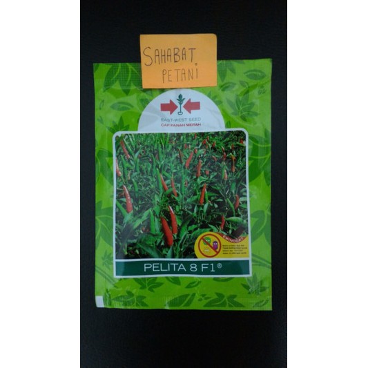 Benih Cabe Cabai Rawit Pelita 8 350 Butir