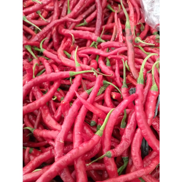 

Cabe Merah Keriting 1 Kg