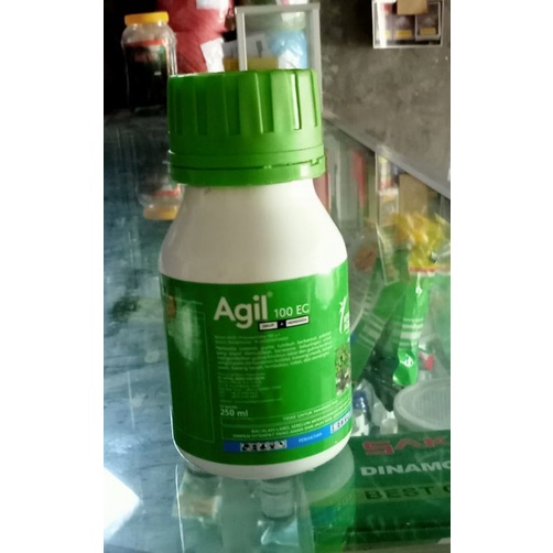Herbisida tanaman Cabe (Agil 100 EC, isi 250 ml)
