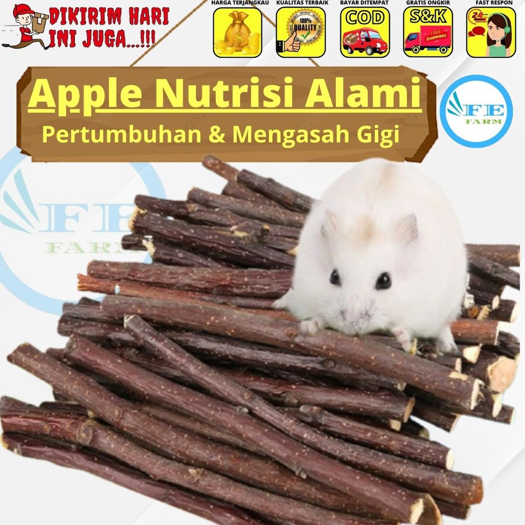 HAMSTER - GIGITAN HAMSTER APEL - APPLE ORCHAD STICK KELINCI TUPAI FEFARM