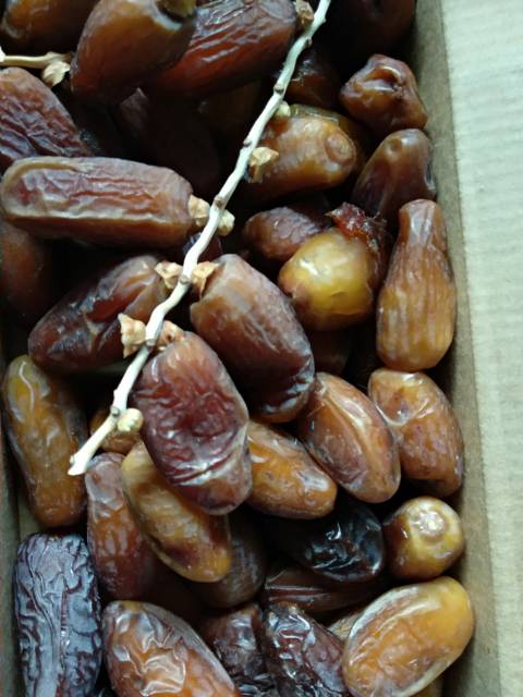 Kurma Tunisia (Nour Palm Fruit)