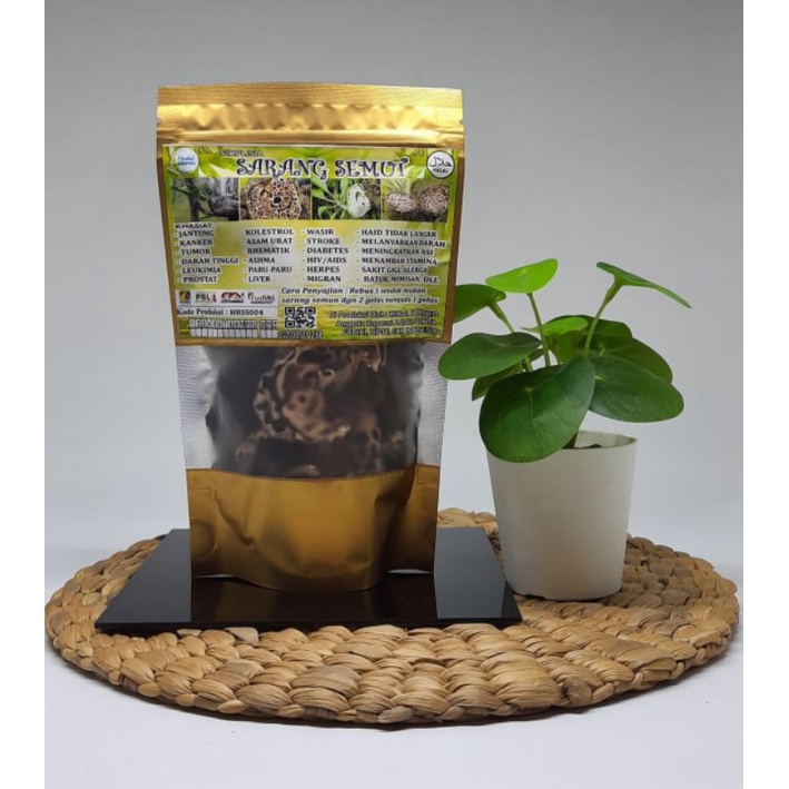

Sarang semut asli kalimantan