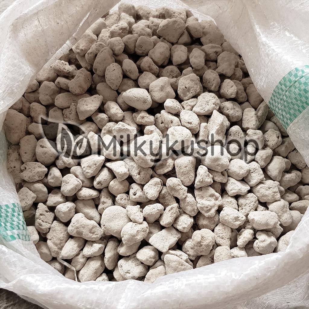 BATU APUNG SEDANG - PUMICE STONE AQUARIUM FILTER