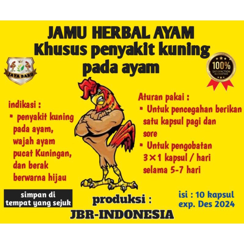 jamu ayam ,obat kuning ayam, jamu herbal penyakit kuning ayam