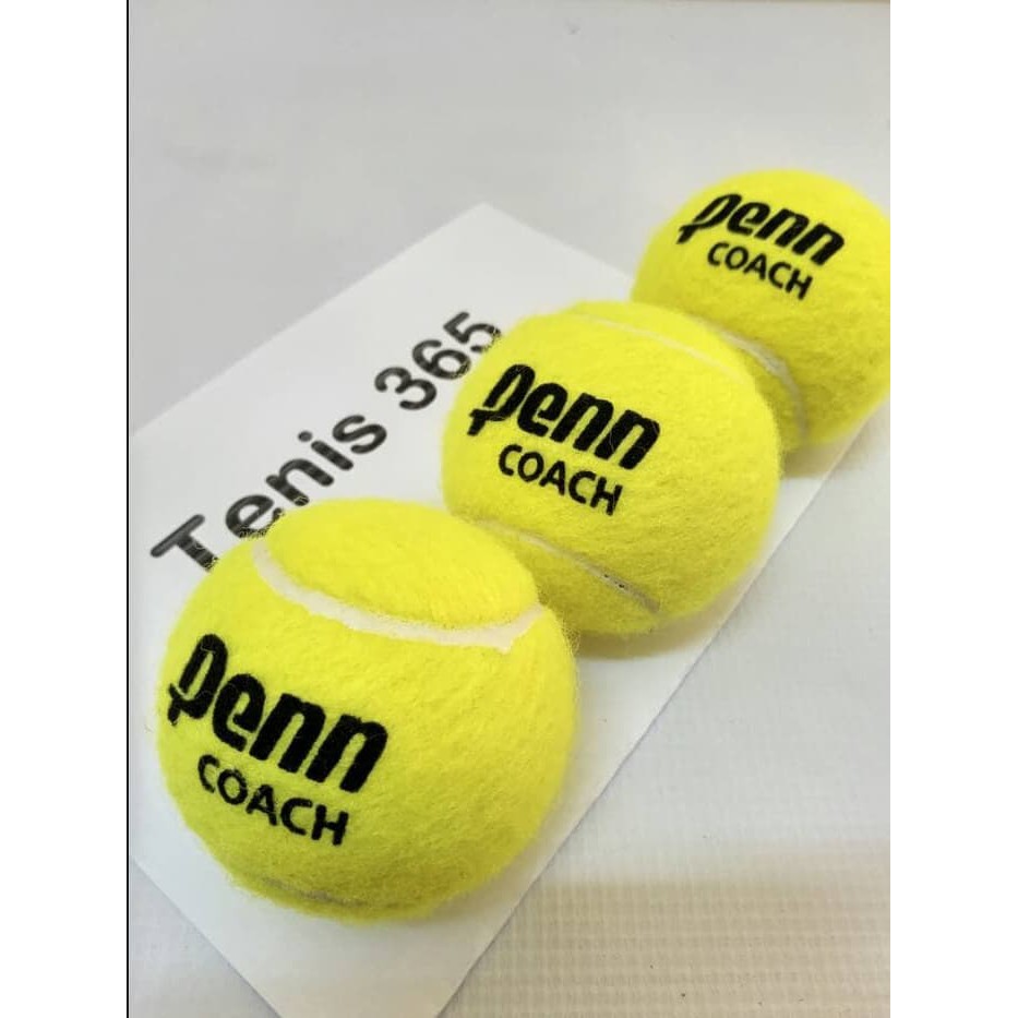 Bola tenis penn isi 3 / Penn Coach Tennis Ball Original paling murah