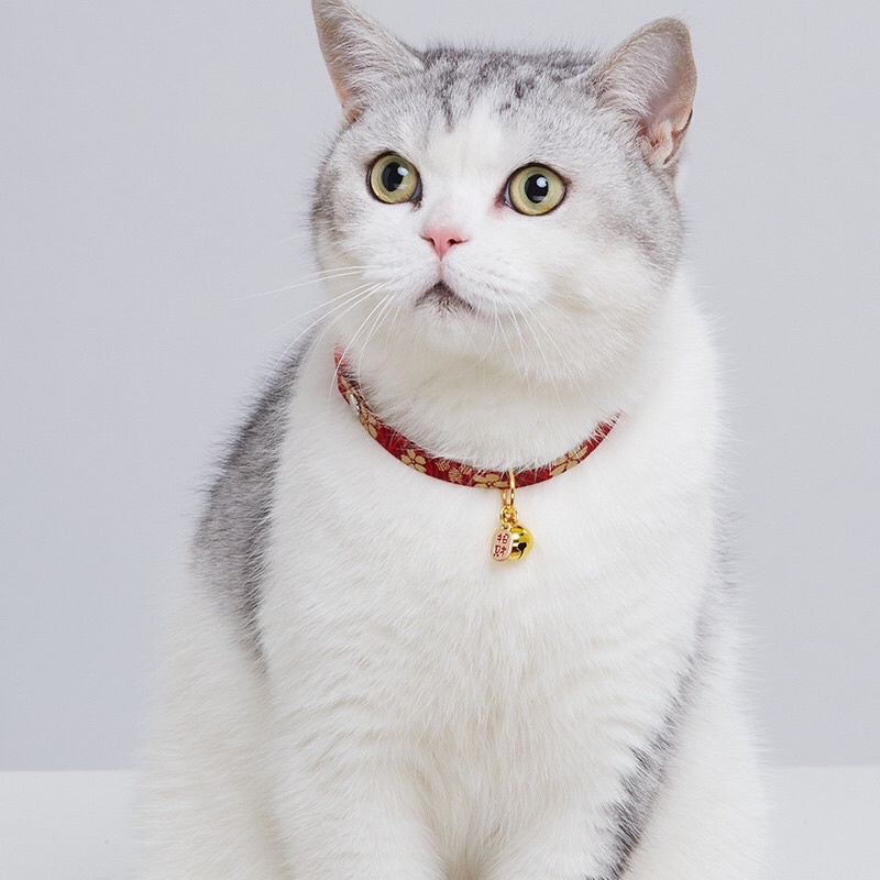 Japanese Dog Cat Collar Kalung Anjing Kucing Lucu