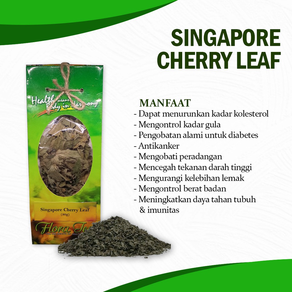 

Daun Kersen Kering/Teh Herbal/Teh Kesehatan/Singapore Cherry Leaf
