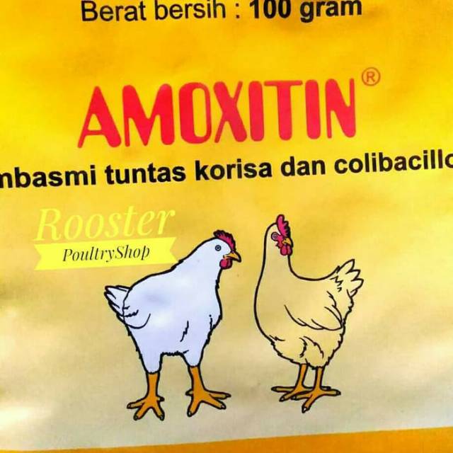 AMOXITIN OBAT AYAM PILEK NGOROK