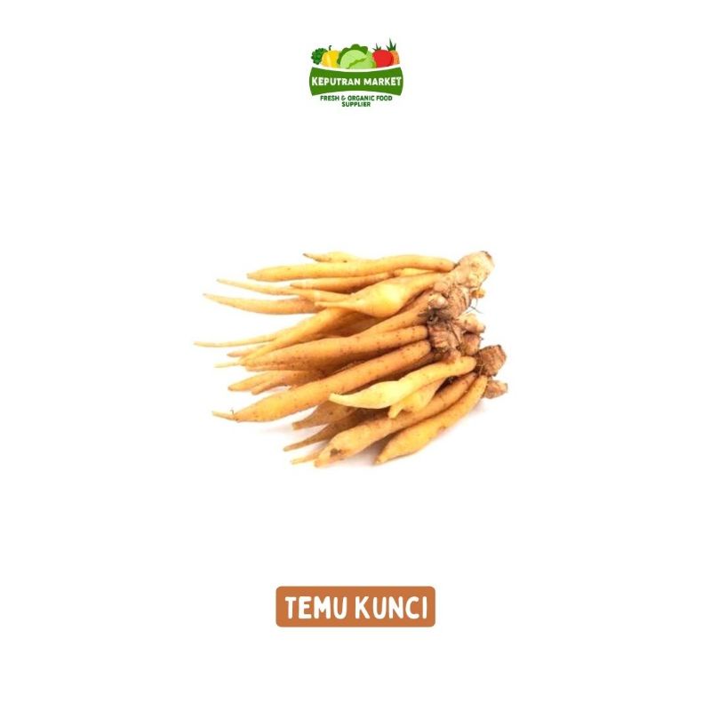 

Temu Kunci 250 Gram / Bumbu Rempah