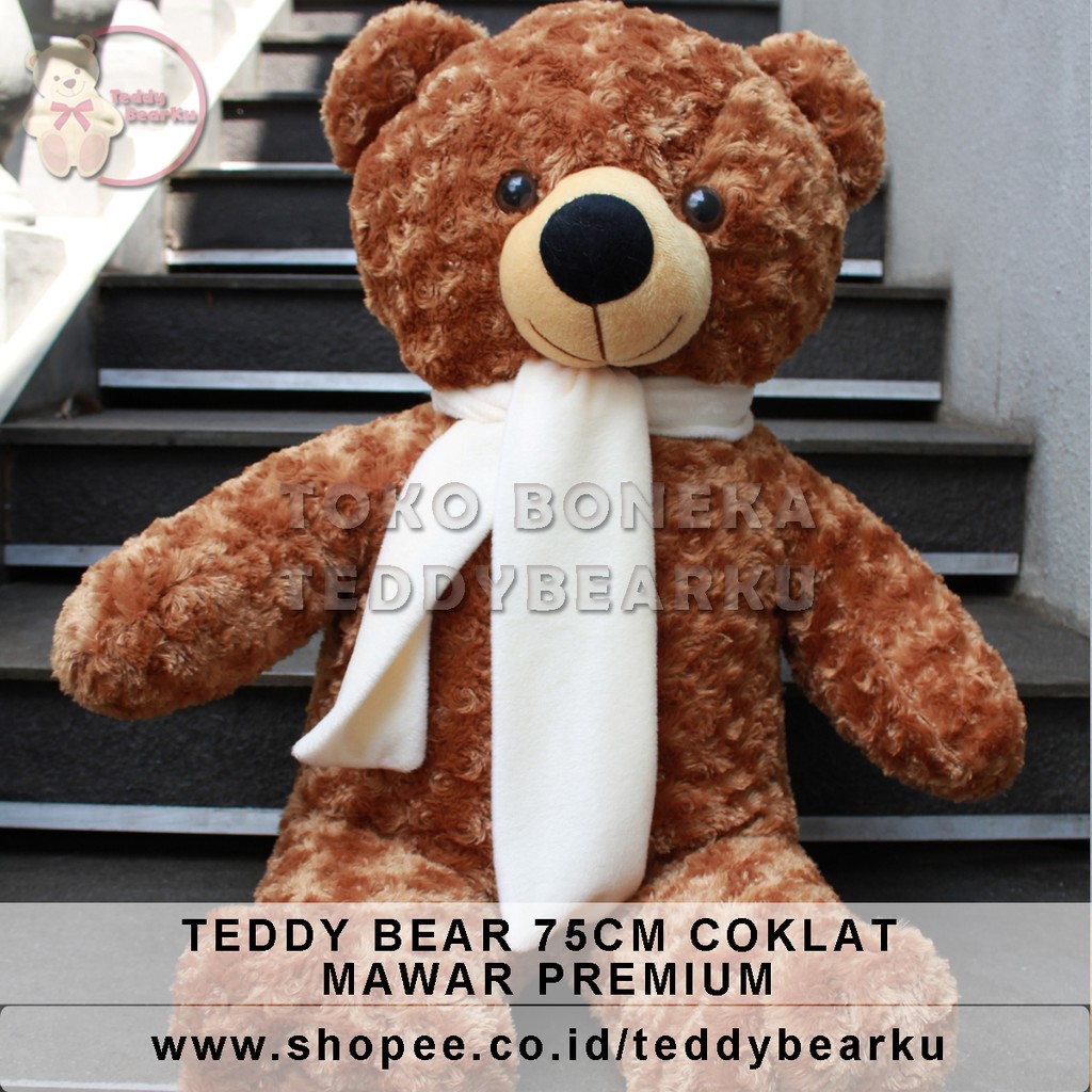 Boneka Teddy Bear XL 75CM Mawar Premium + Syal (Langka)