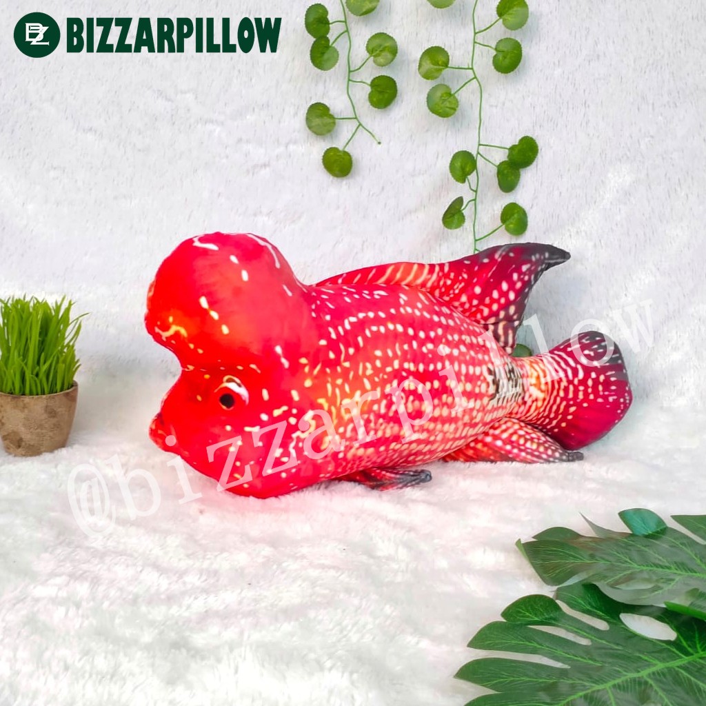 Bizzarpillow Bantal Ikan Louhan size M BZ080